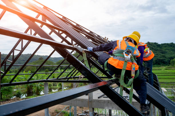 Best Metal Roofing Contractor  in Argentine, MI