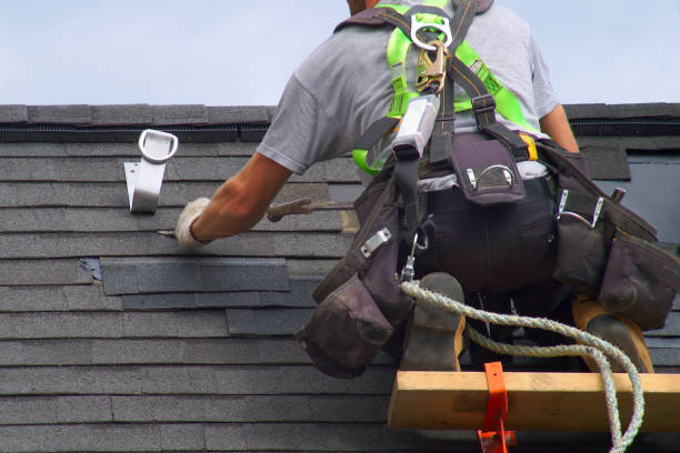 Best Roof Restoration Services  in Argentine, MI