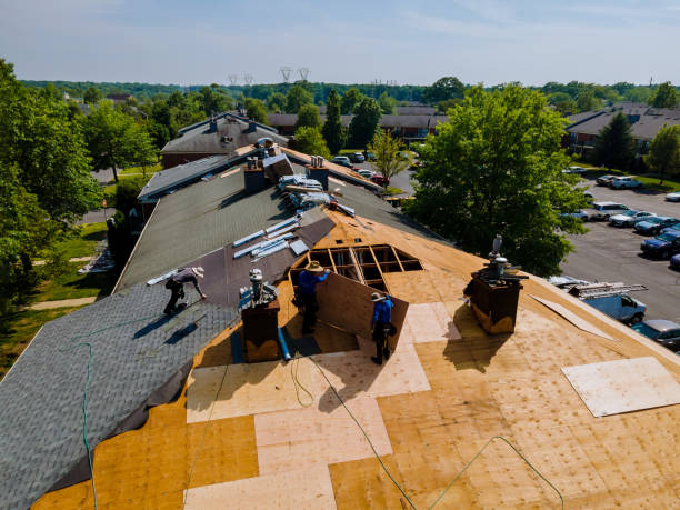 Best New Roof Installation  in Argentine, MI
