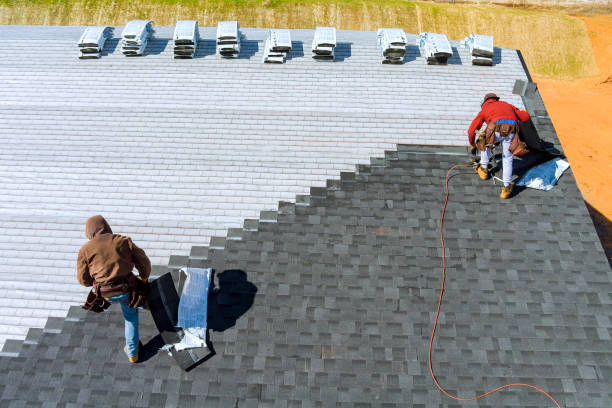 Best New Roof Installation  in Argentine, MI