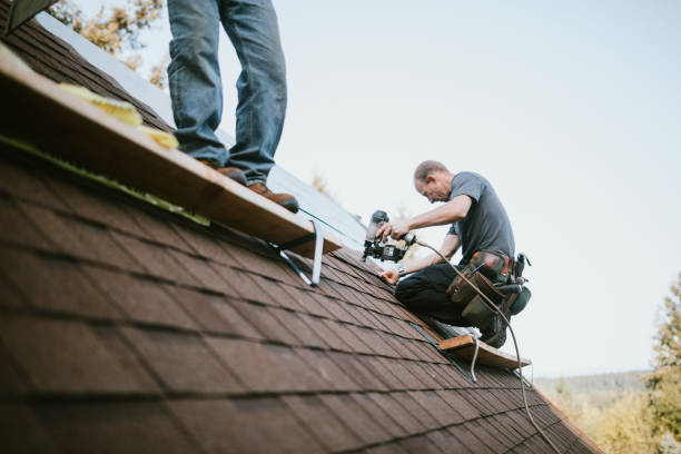 Best Best Roofing Contractors  in Argentine, MI