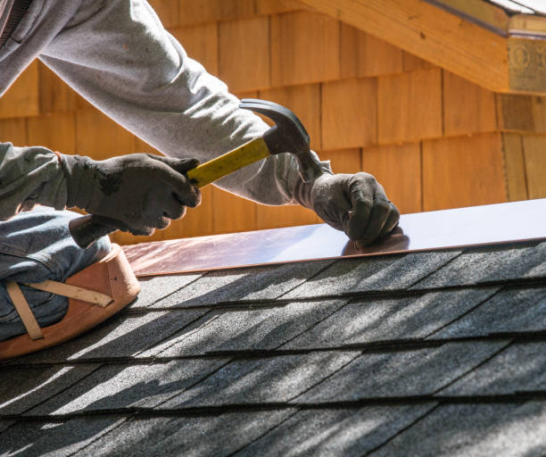 Best Roofing Contractor Near Me  in Argentine, MI